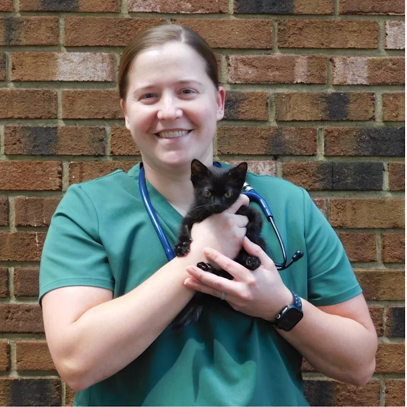 Sarah Baldwin Sarah Baldwin