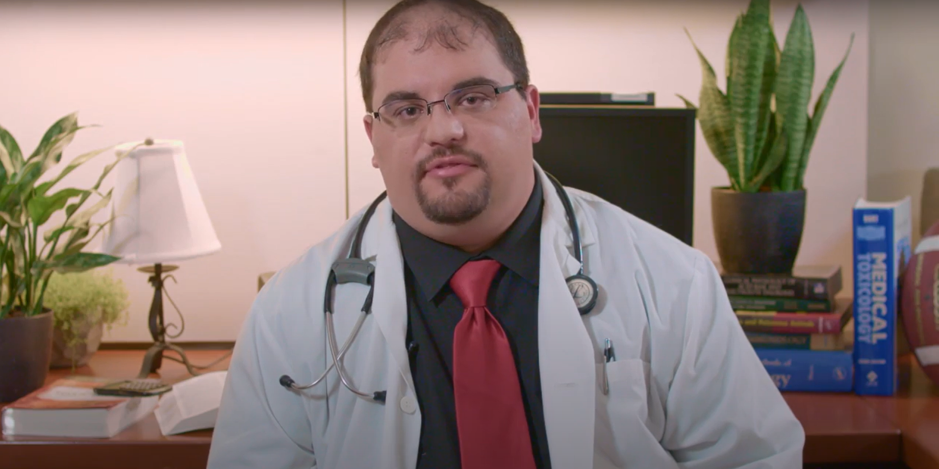 Veterinarian talking