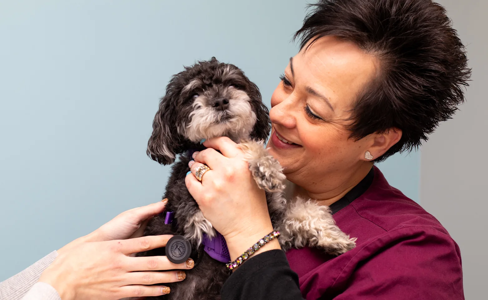 Client holding a puppy. Client holding a puppy.