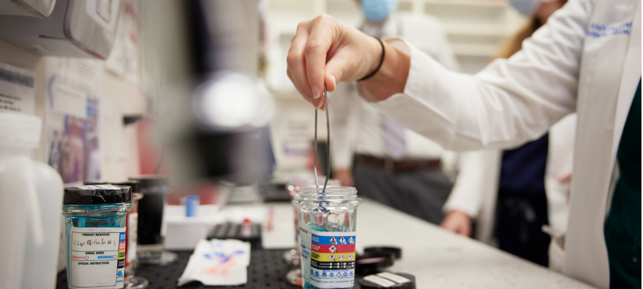 Vets Carrying Out Allergen Procedure