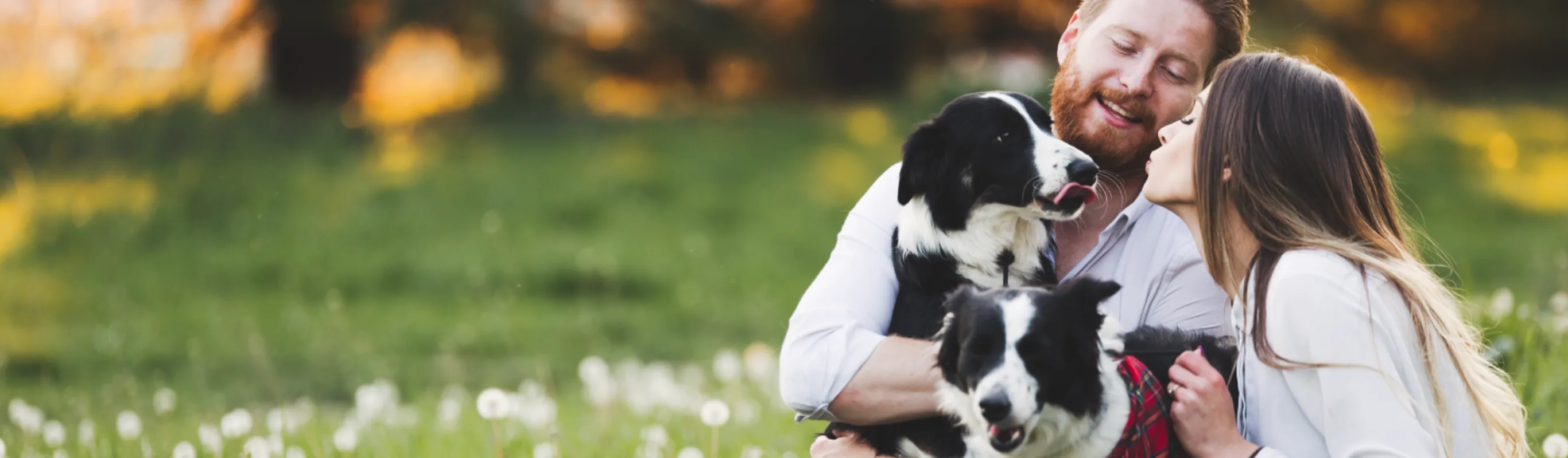 Two dogs with couple in the grass