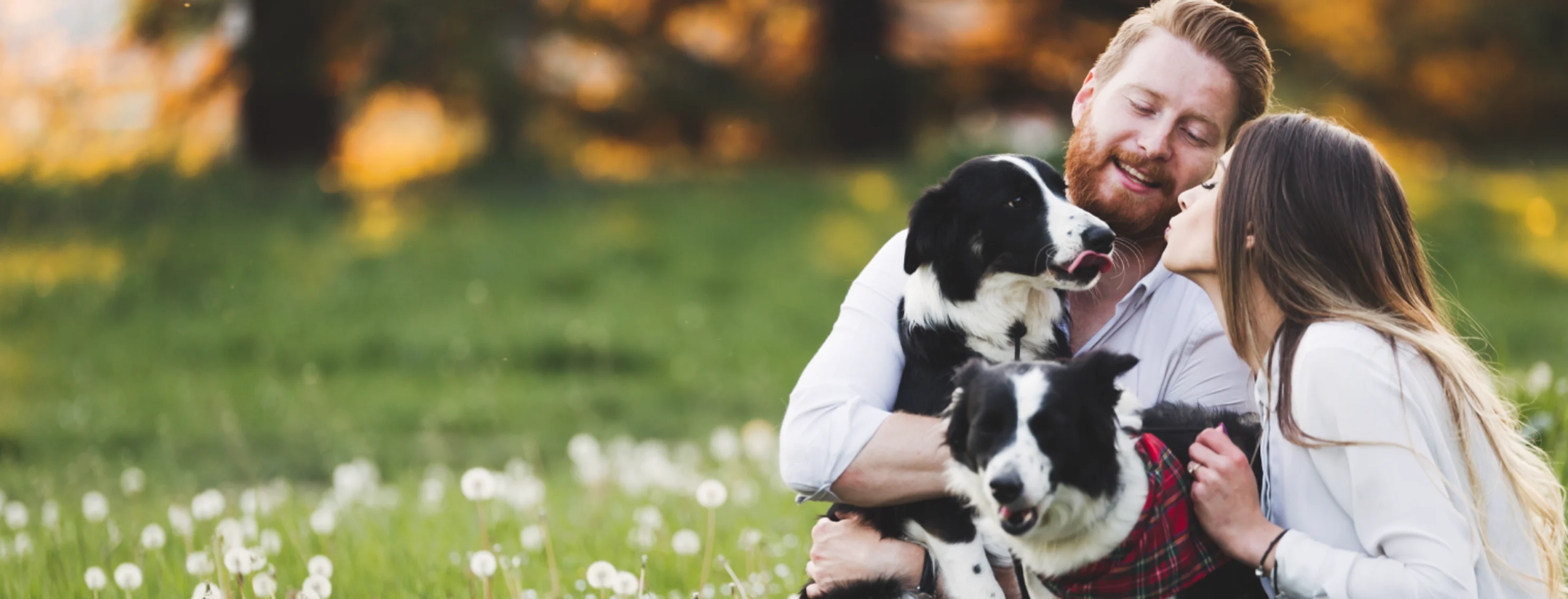 Two dogs with couple in the grass