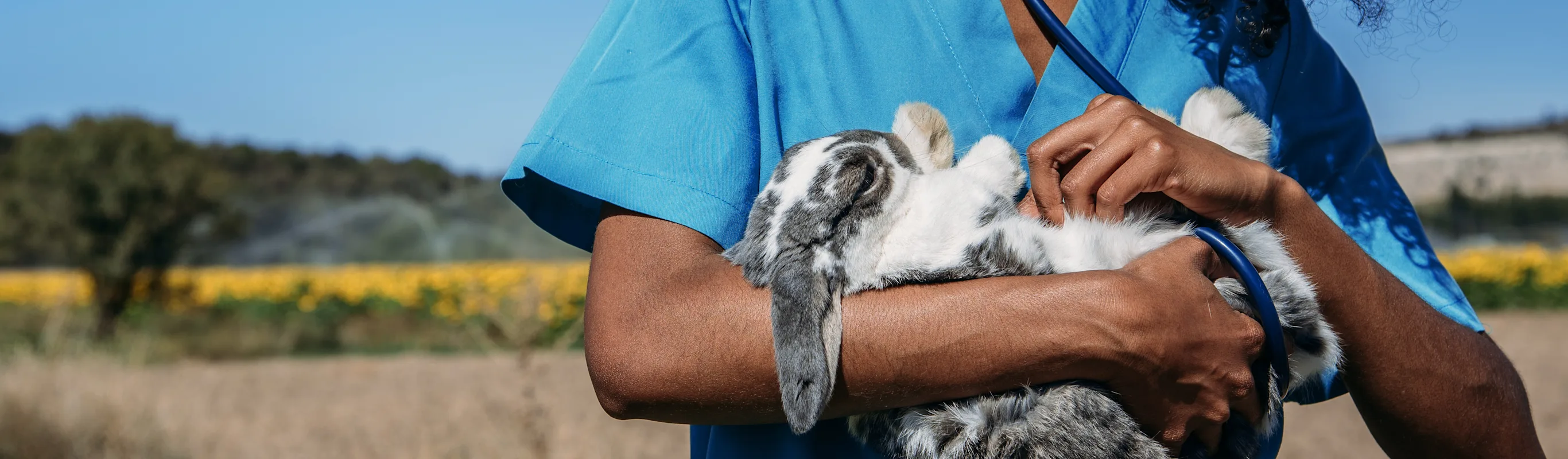 Woman with Rabbit Woman with Rabbit