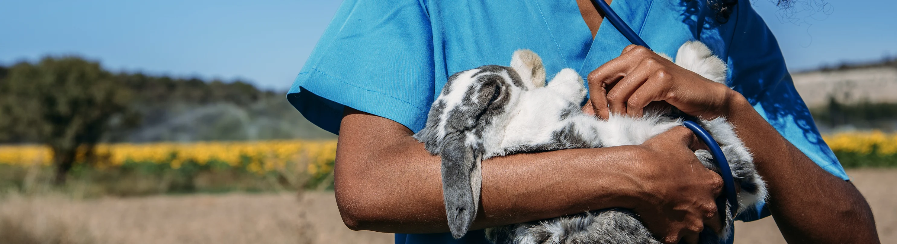 Woman with Rabbit Woman with Rabbit