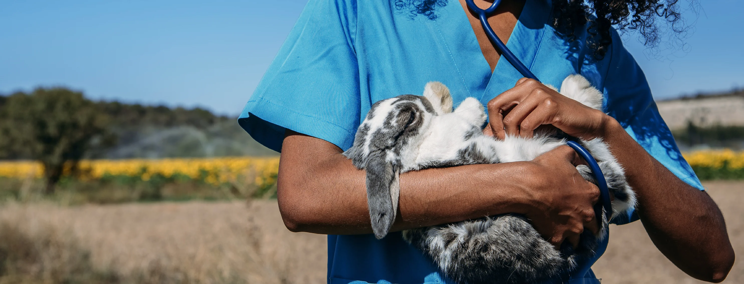 Woman with Rabbit Woman with Rabbit
