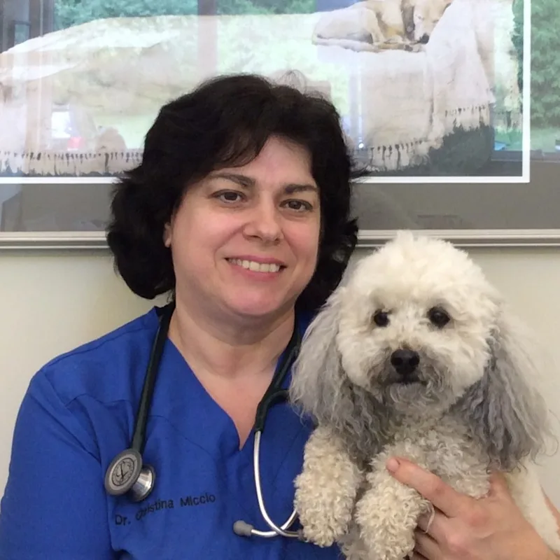 All Creatures Great and Small Dr. Christina Miccio All Creatures Great and Small Dr. Christina Miccio