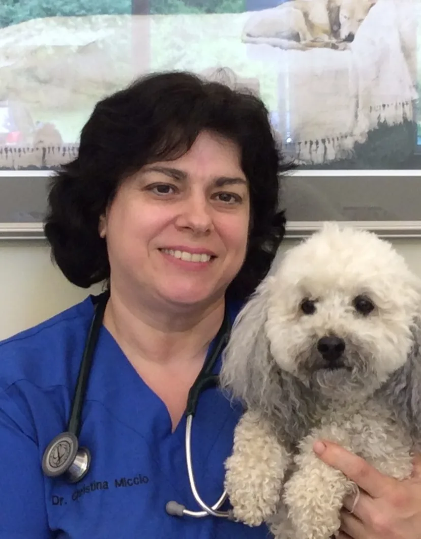 All Creatures Great and Small Dr. Christina Miccio