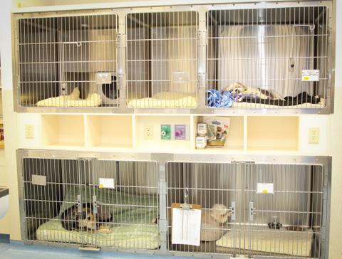 Recovery kennels for post operative patients
