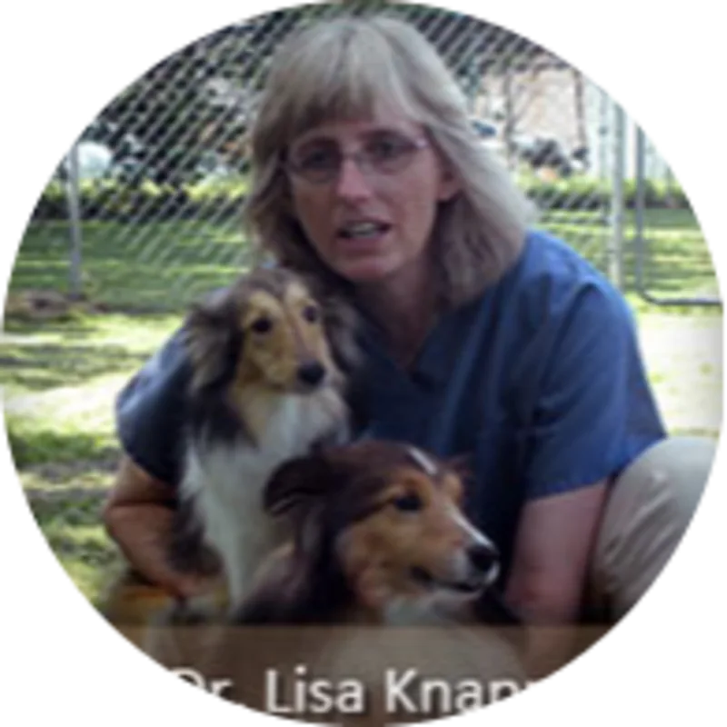 Dr. Lisa Knapp of VMDAH Dr. Lisa Knapp of VMDAH