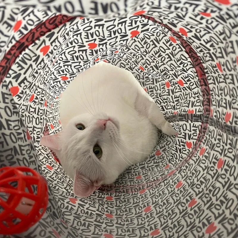 Olaf-Aspen Olaf-Aspen