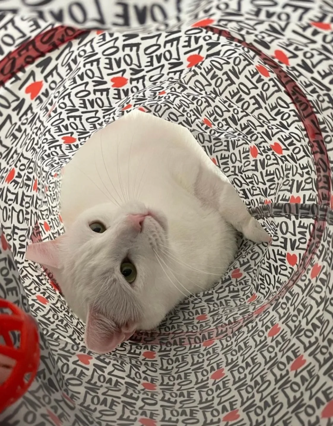 Olaf-Aspen Olaf-Aspen