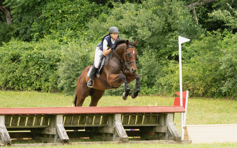 Woman Riding Horse Jumping Over Wooden Ledge