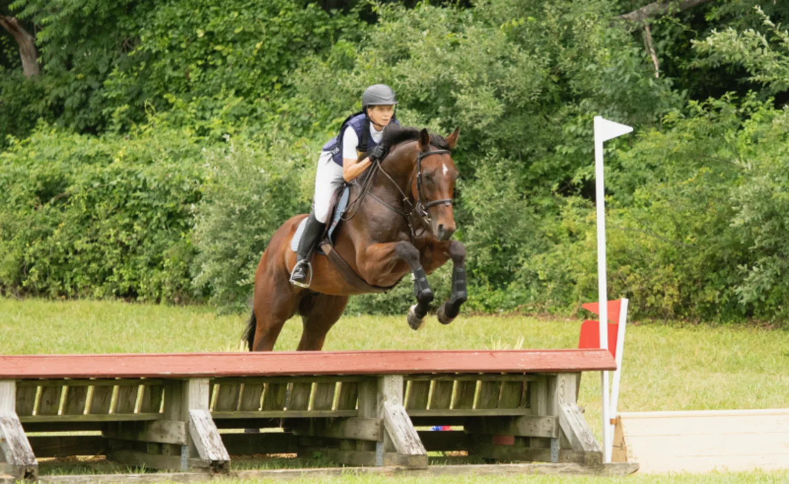 Woman Riding Horse Jumping Over Wooden Ledge Woman Riding Horse Jumping Over Wooden Ledge