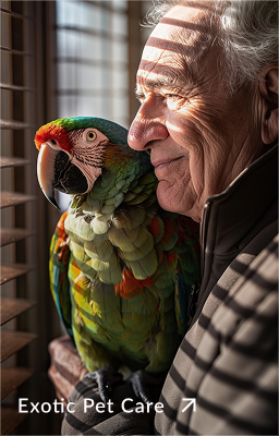 Full width example 3 - Exotic Pet Care
