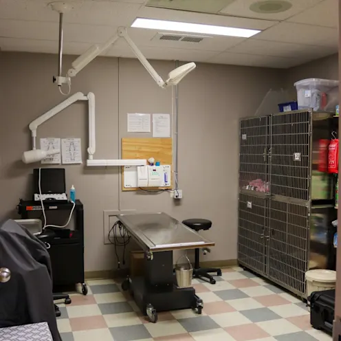 Dental Room Dental Room