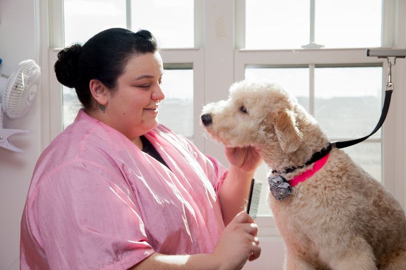 Hawthorne Park Animal Care Center Grooming