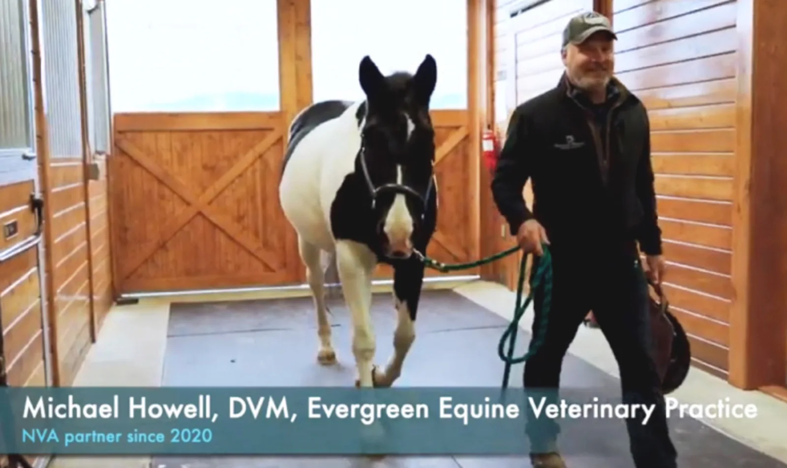 Michael Howell at Evergreen Equine Veterinary Practice