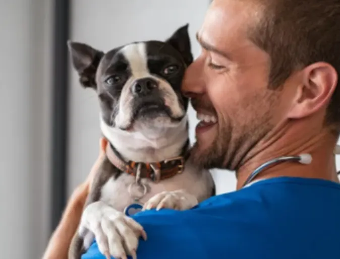 Veterinarian Holding a Dog