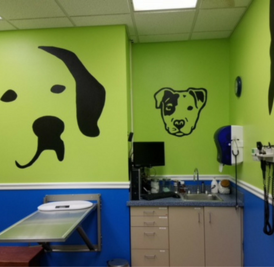 Green and blue exam room