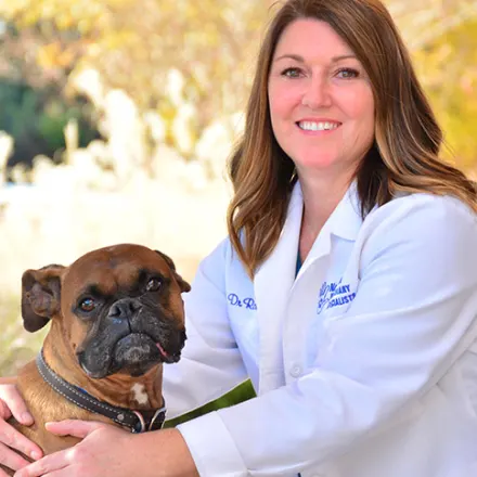 Rossi Hourse, DVM & DACVIM at Nashville Veterinary Specialists