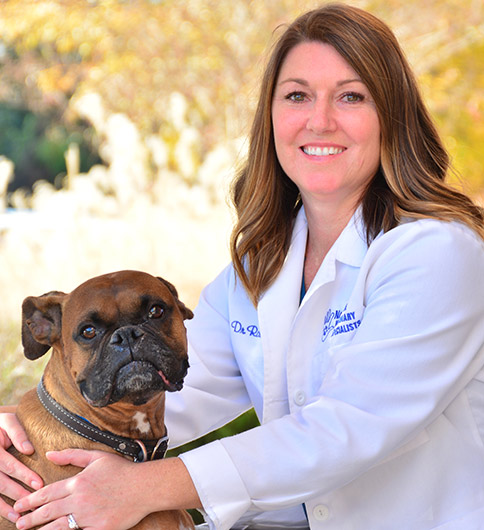 Rossi Hourse, DVM & DACVIM at Nashville Veterinary Specialists