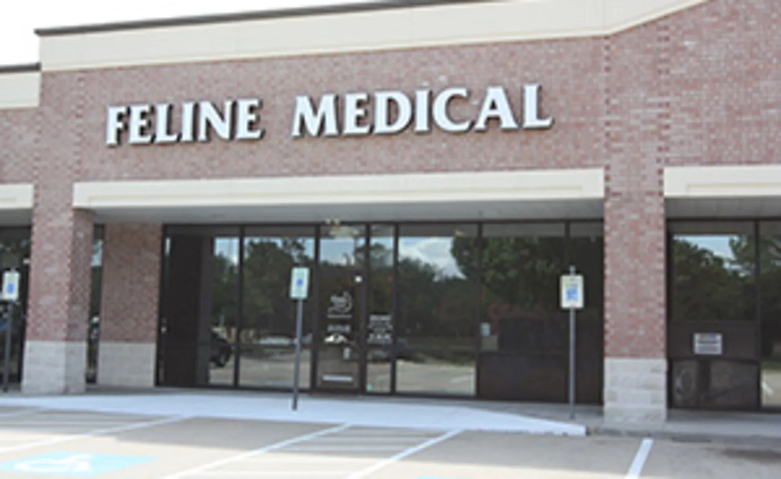 Feline Medical Center Building Feline Medical Center Building