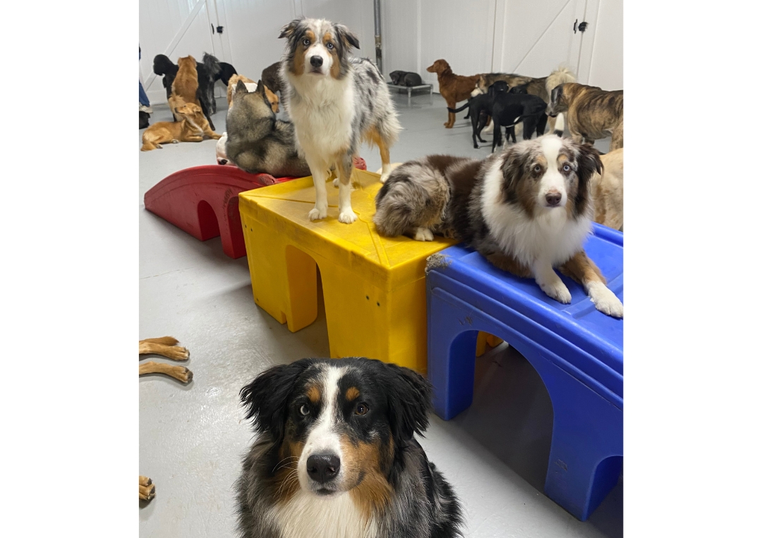 Inside Day Care Group