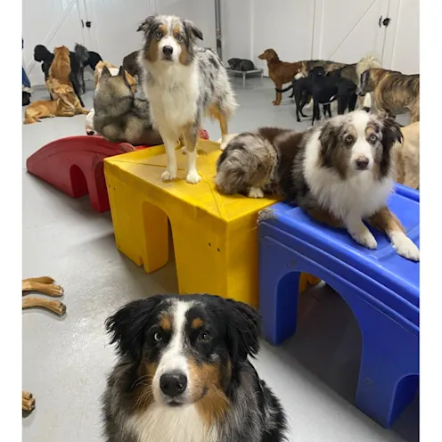 Inside Day Care Group Inside Day Care Group