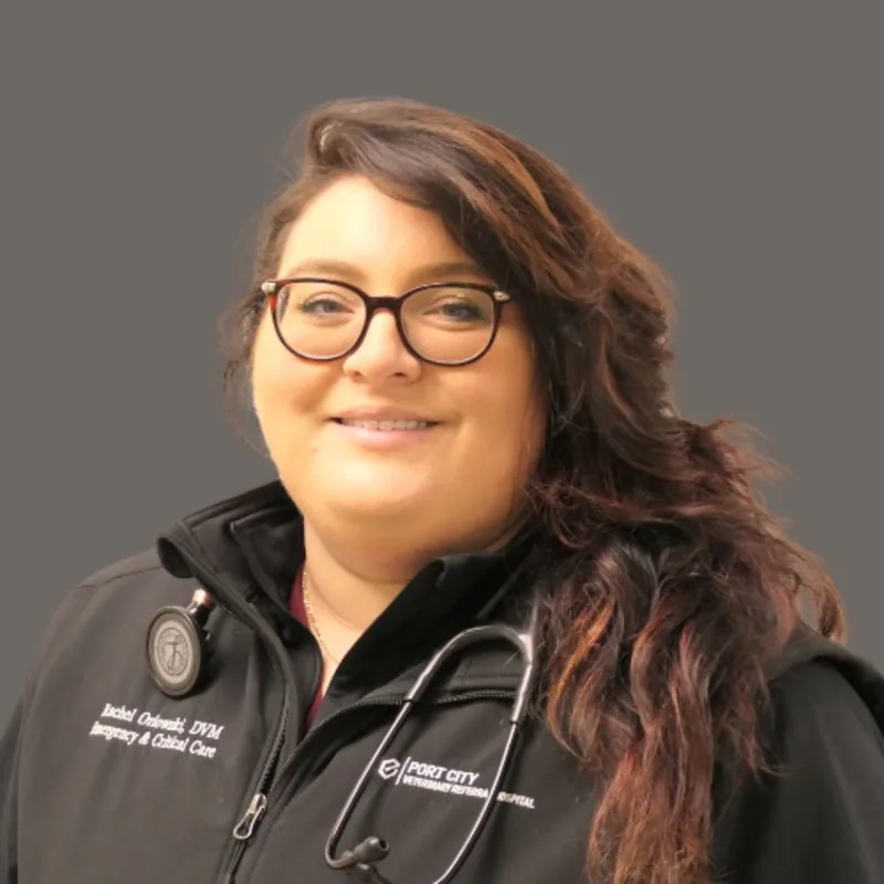 Rachel N. Orlowski Rachel N. Orlowski