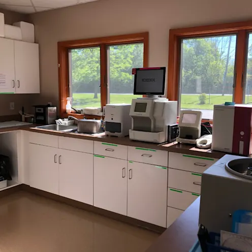 Room with Cabinets and lab equipment Room with Cabinets and lab equipment