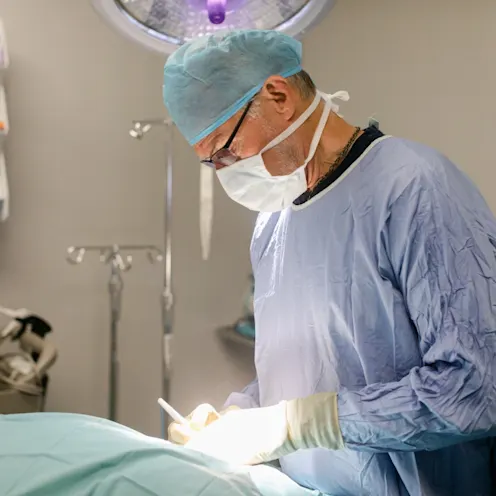 Surgeon at All Pet Complex Veterinary Hospital Surgeon at All Pet Complex Veterinary Hospital