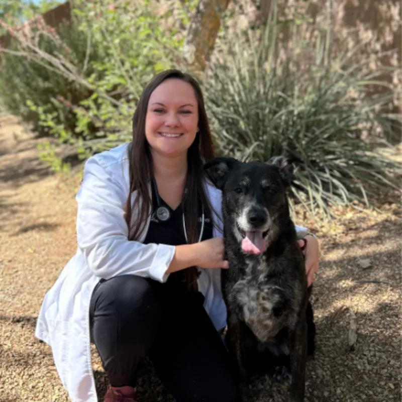 Dr. Lexi Harvey Dr. Lexi Harvey