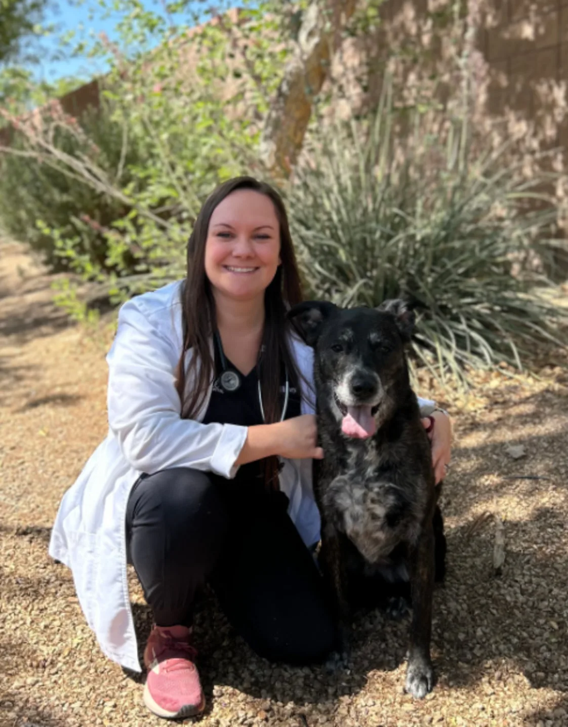 Dr. Lexi Harvey Dr. Lexi Harvey