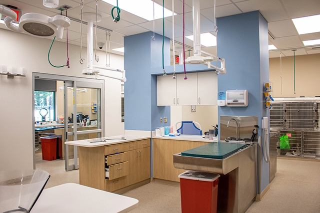 Exam Room at Veterinary Specialists of Birmingham