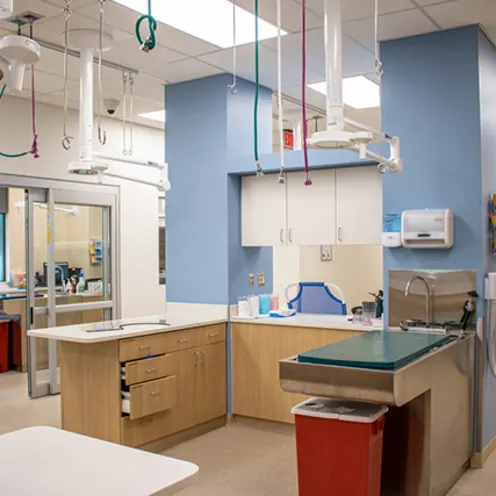 Exam Room at Veterinary Specialists of Birmingham Exam Room at Veterinary Specialists of Birmingham