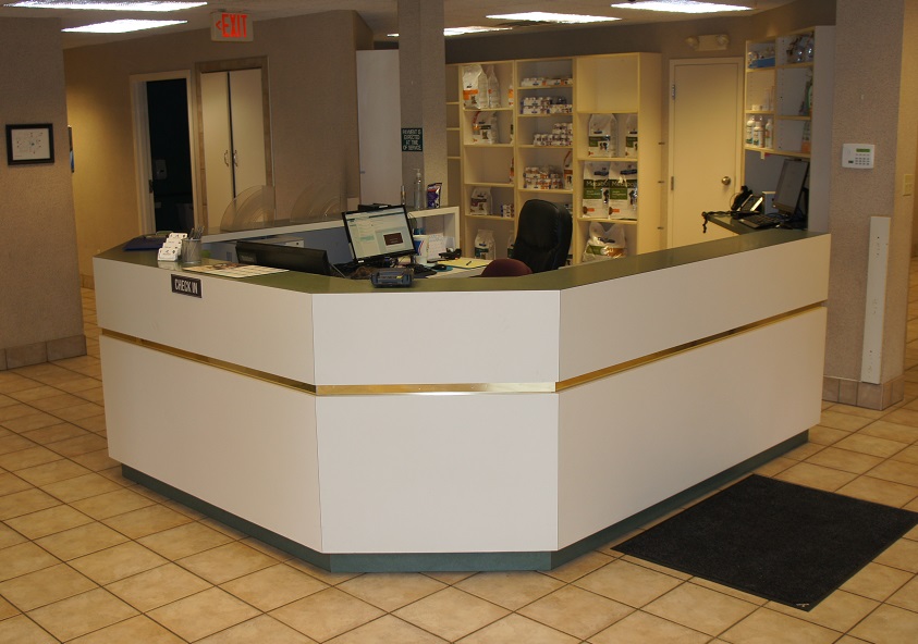 Reception Area