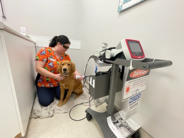 Laser Therapy