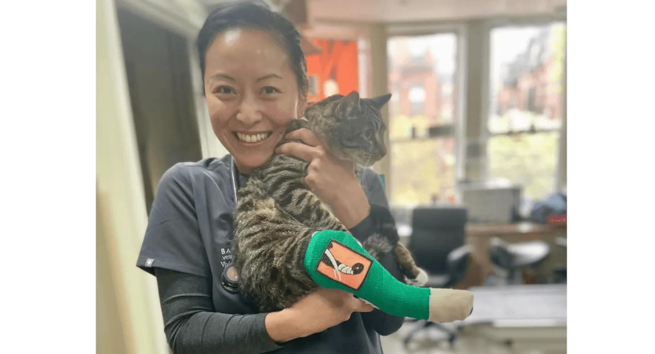 IStaff member holding a cat with a cast IStaff member holding a cat with a cast