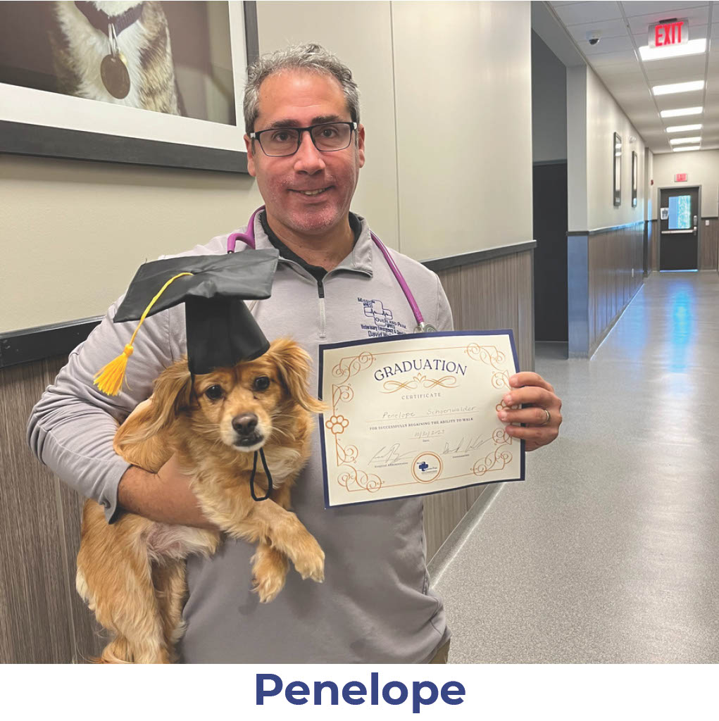 Penelope the dog with Neurology Graduate Hall of Fame certificate
