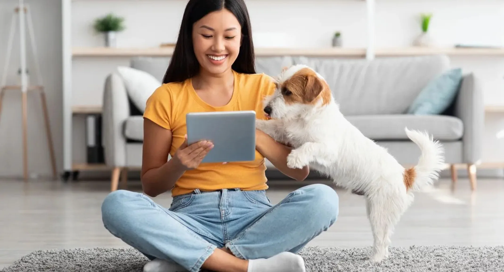 Owner and dog looking at tablet screen Owner and dog looking at tablet screen
