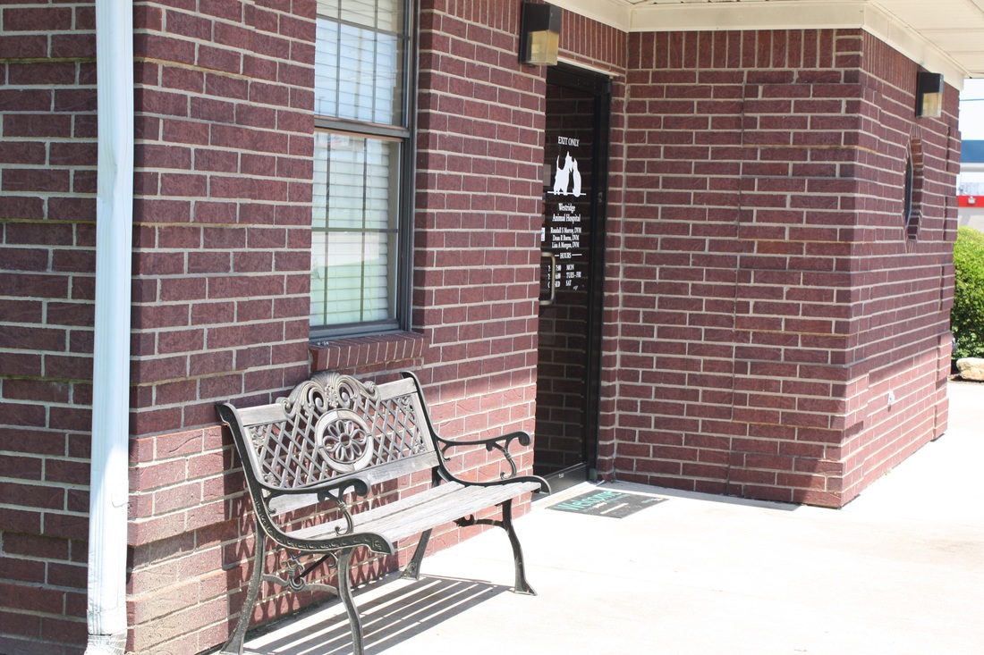 Westridge Animal Hospital Front Door