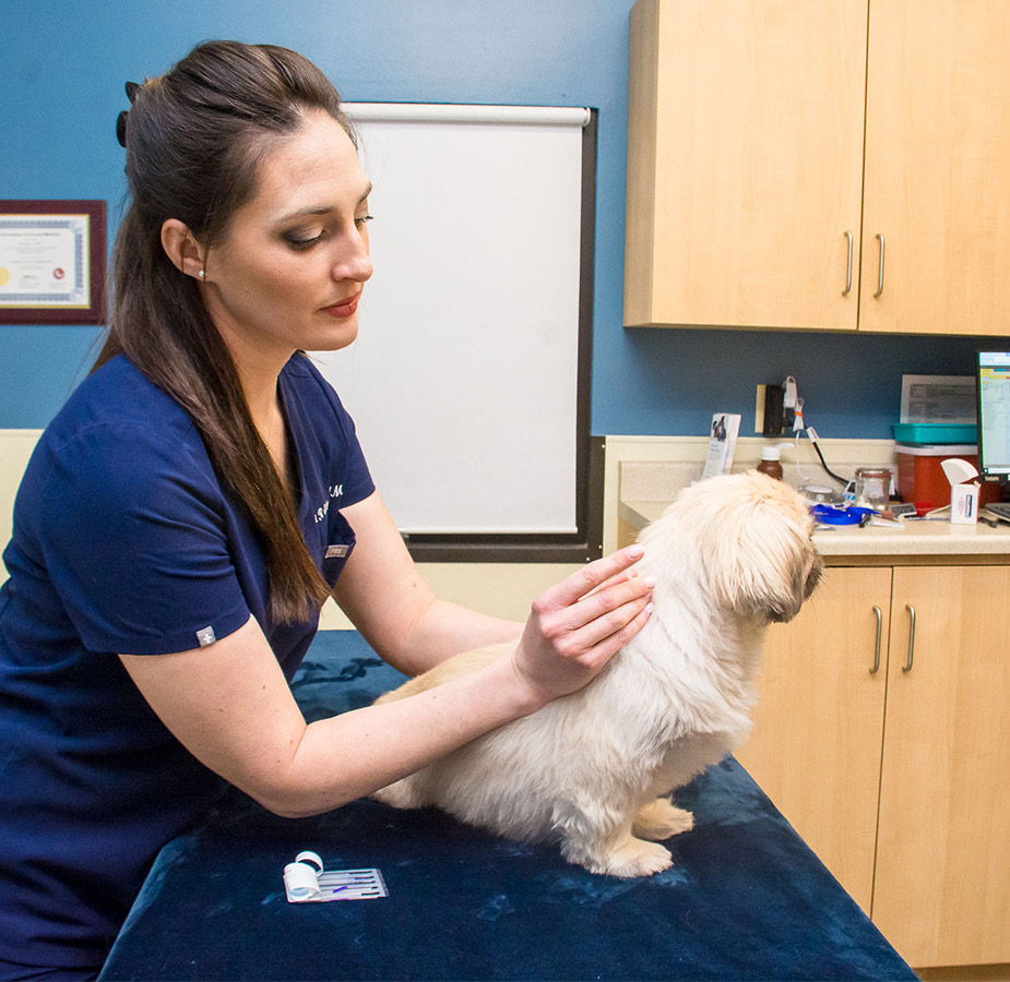 Side Profile of Acupuncture with Dr. Guidry