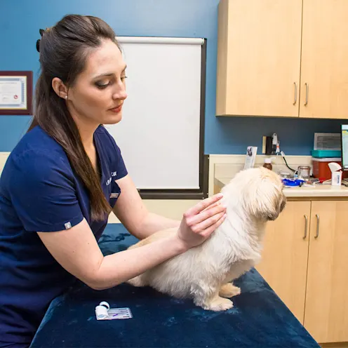 Side Profile of Acupuncture with Dr. Guidry Side Profile of Acupuncture with Dr. Guidry