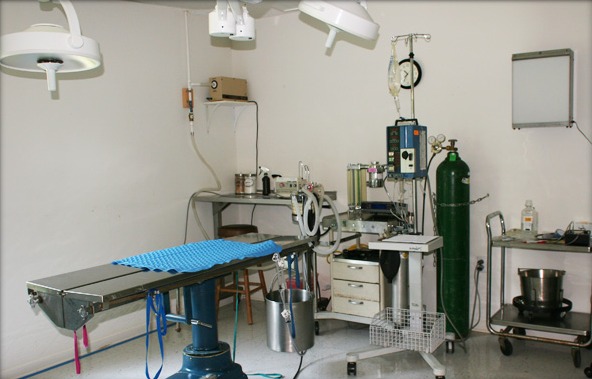 Surgical Suite
