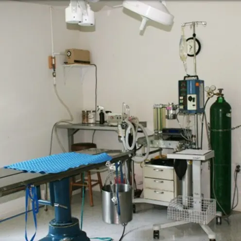 Surgical Suite Surgical Suite