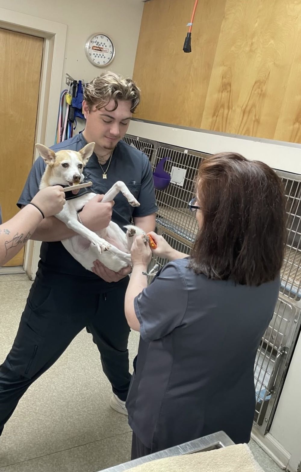 Patient Getting a Nail Trim