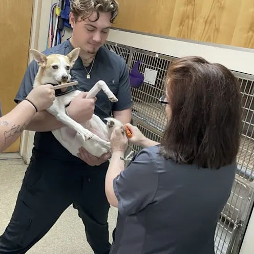 Patient Getting a Nail Trim Patient Getting a Nail Trim