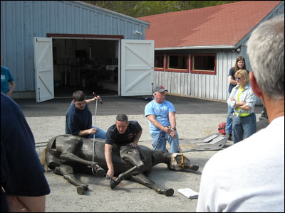 Equine Rescue Training 4