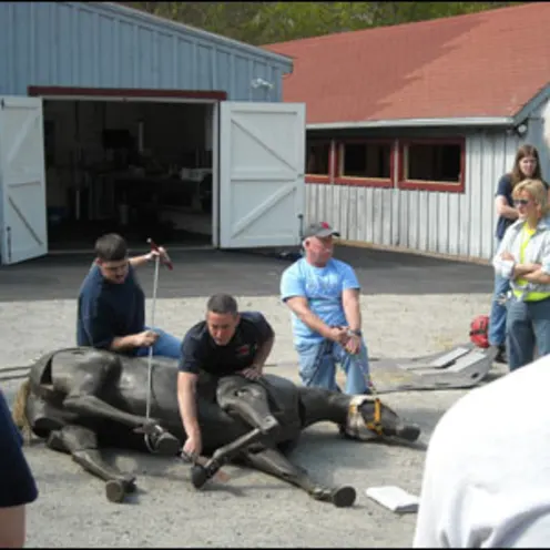 Equine Rescue Training 4 Equine Rescue Training 4