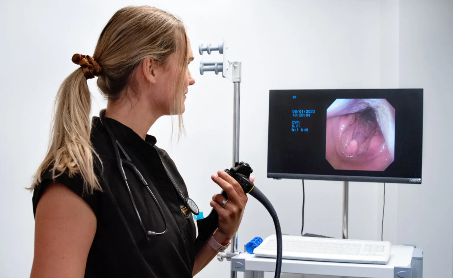 Vet performing an endoscopy Vet performing an endoscopy